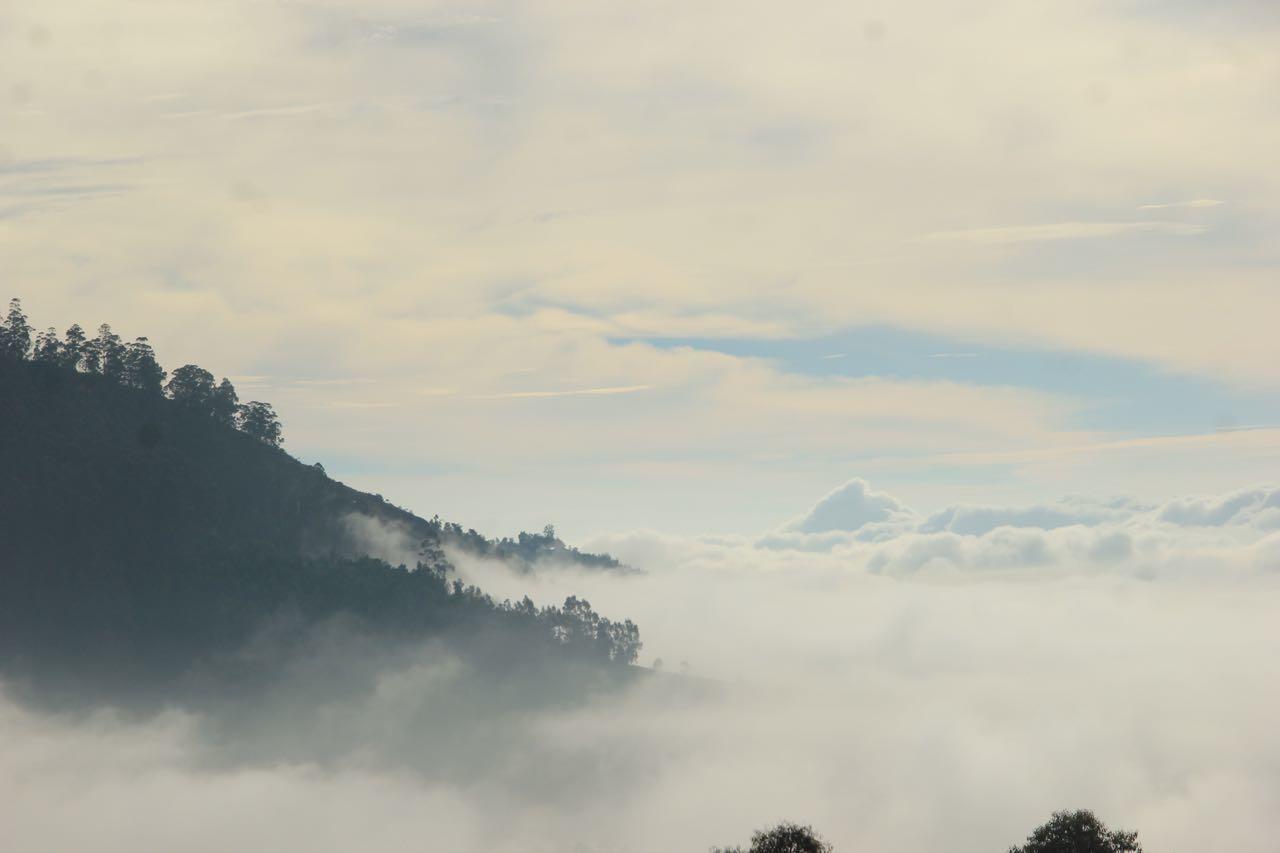 Hide Away Cottages Ooty Exterior foto
